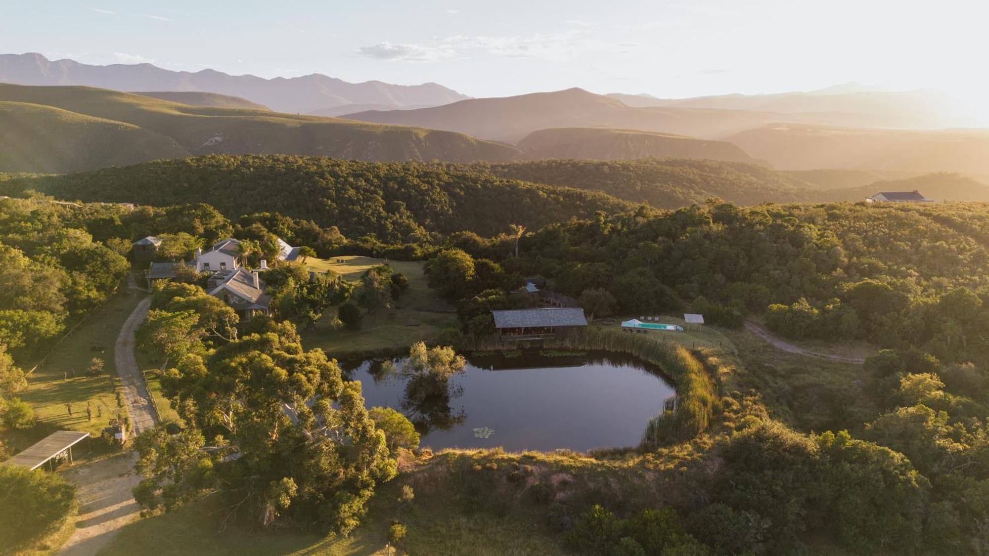 Belle Balance Bush Lodge Plettenberg Bay Eksteriør billede
