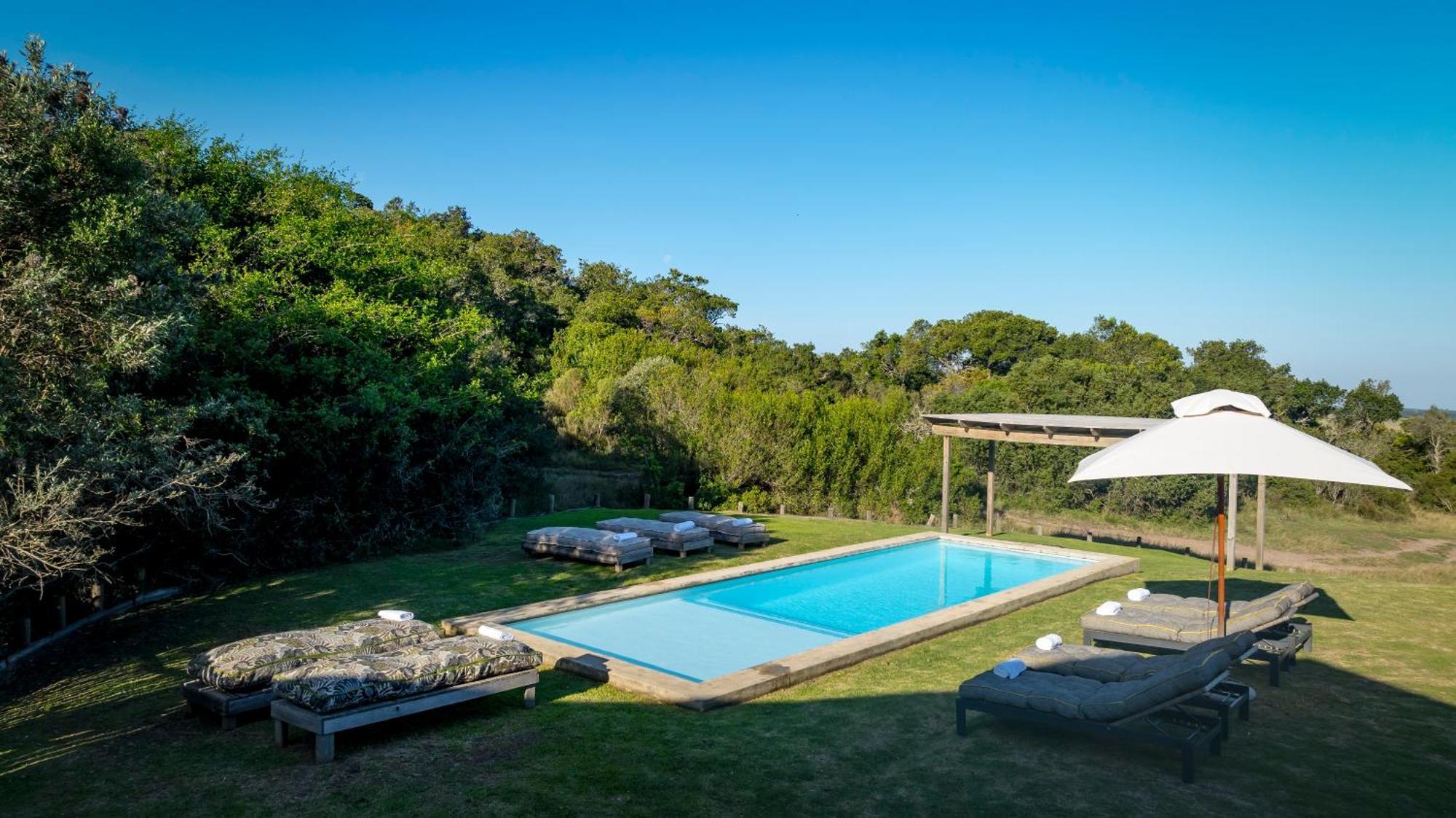 Belle Balance Bush Lodge Plettenberg Bay Eksteriør billede