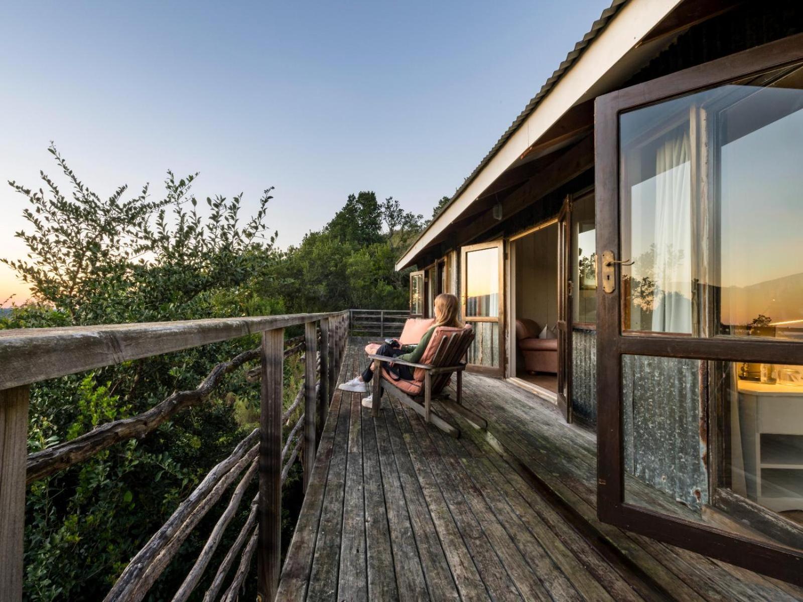 Belle Balance Bush Lodge Plettenberg Bay Værelse billede