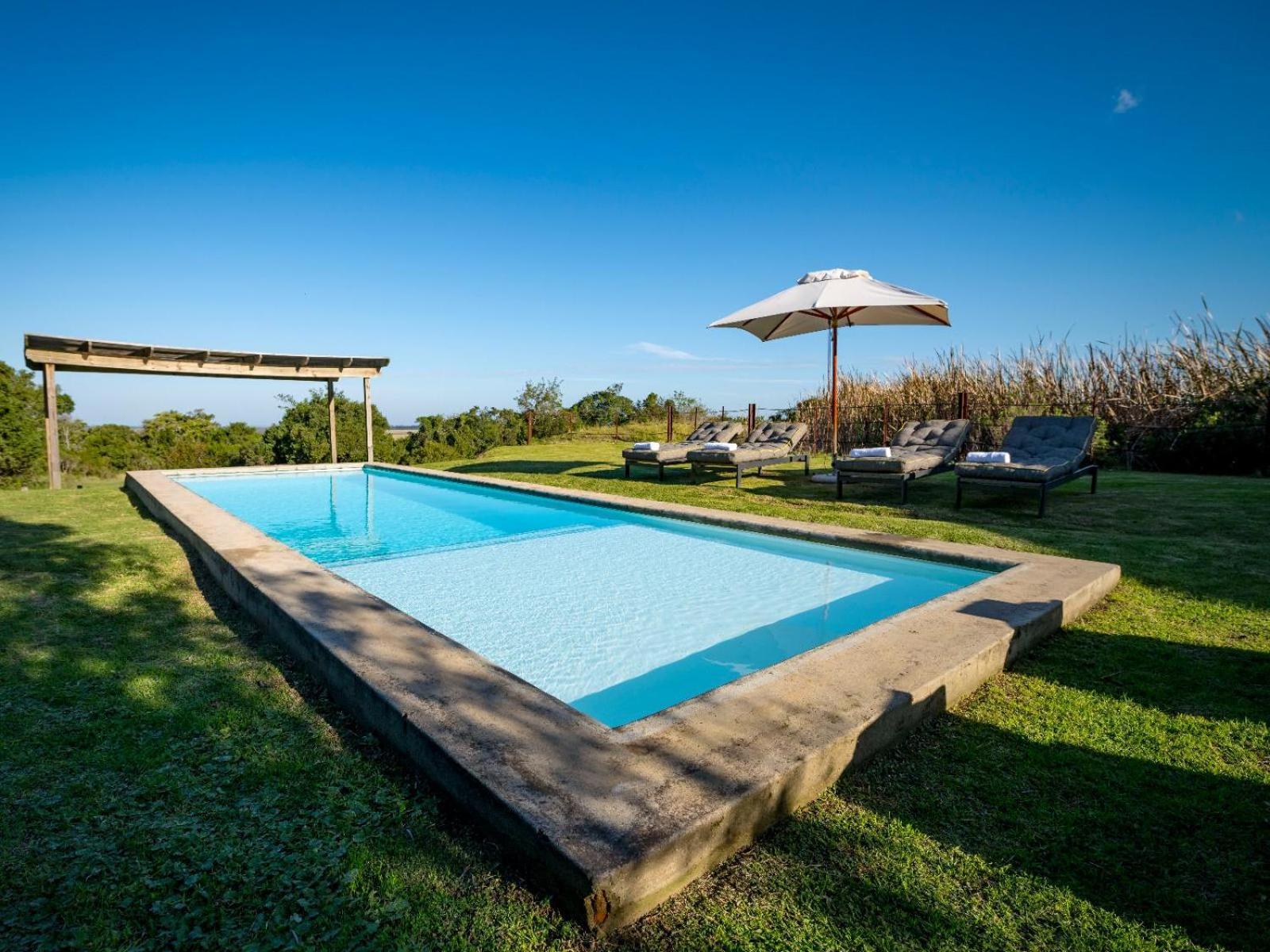 Belle Balance Bush Lodge Plettenberg Bay Eksteriør billede