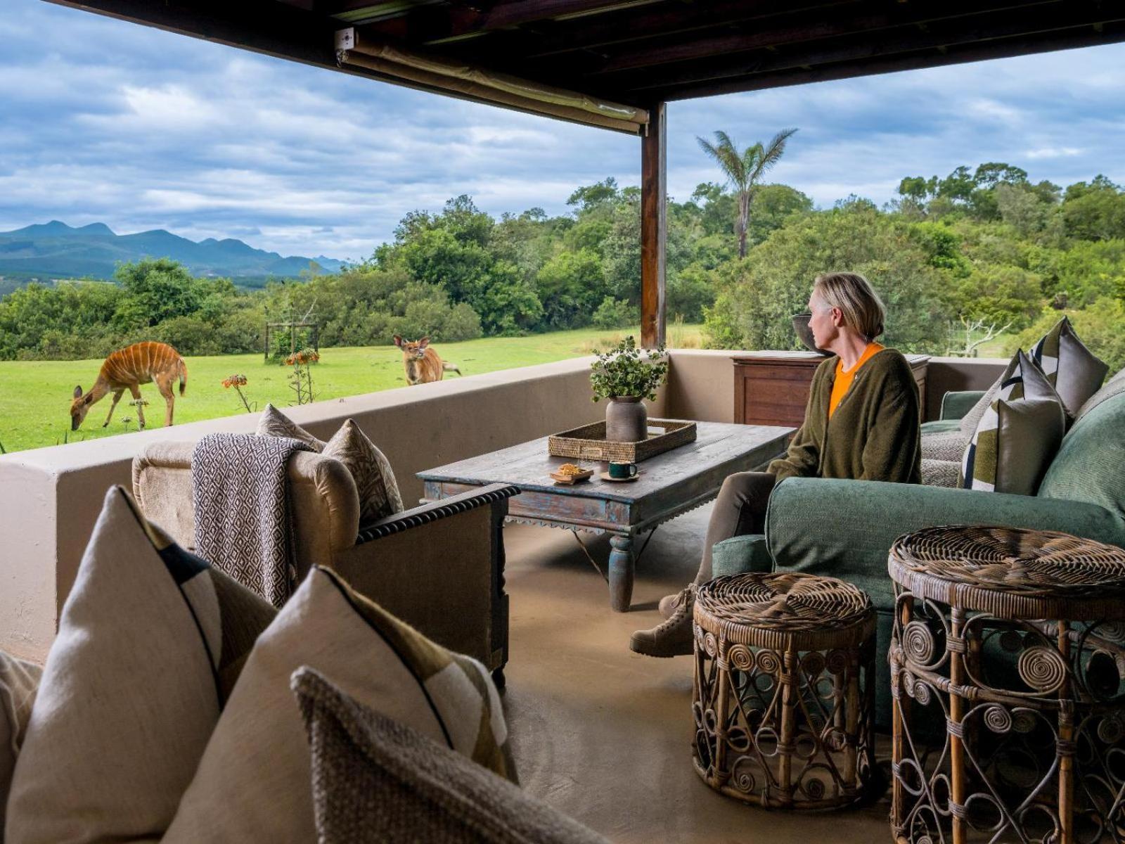 Belle Balance Bush Lodge Plettenberg Bay Eksteriør billede